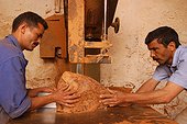 Sciage d'une loupe de thuya Essaouira Maroc