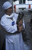 Civette palmiste masquée dans les bras de son éleveur Chine ; Vecteur du SRAS. Espèce élevée comme animal de compagnie. Province où le SRAS est apparu en novembre 2002