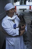 Civette palmiste masquée dans les bras de son éleveur Chine ; Vecteur du SRAS. Espèce élevée comme animal de compagnie. Province où le SRAS est apparu en novembre 2002