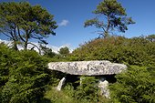 Dolmen parmi des fougères Presqu'île de Crozon France