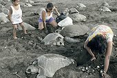 Personnes récoltant des oeufs de tortue olivâtre Costa Rica ; Reportage Arribada<br>Site : Plage et village d'Ostional<br>Une fois par an, les tortues olivâtres migrent jusqu'à cette plage du Costa Rica afin d'y déposer leurs oeufs. Ce formidable débarquement (jusqu'à 15000 individus)laisse derrière lui environ 8 millions d'oeufs, très convoités. Seuls les habitants du village voisin sont autorisés à collecter ces oeufs dans un but alimentaire.<br>Cette récolte impressionnnante ne vise que les oeufs déposés lors des 36 premières heures du phénomène. Les chances de développement des ces oeufs sont en effet naturellement très faible puisque les vagues successives de tortues endommagent fortement la ponte laissée par la vague précédente. De plus, l'écrasement des pontes précédentes crée un milieu propice au développement massif d'insectes indésirables.<br>Cette récolte est donc contrôlée et raisonnée.