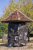 Chestnut tree valley of the Dordogne 