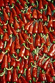 Hot red peppers with drying [AT]