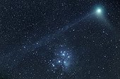 Comète Machholtz  visible près de l'Amas des Pléïades ; Date : Janvier 2005<br>Objet : Comète C/2004 Q2 Machholtz.<br>Amas ouvert des Pléïades.<br>Ces objets semblent proches mais leurs distance et origines n'ont aucun rapport. <br>Amas ouvert des Pléiades : 380 années-lumière de nous et il mesure environ 13années-lumière<br>La comète n'est qu'à 57 millions de kilomètres, sa partie visible mesurant environ 450.000 km.