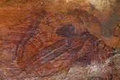 Cave paintings aboriginals type bradshaw Australia   ; Cave paintings aboriginals standard “bradshaw”, object of many studies and assumptions because of their very probable anteriority to the other cave paintings (wandjina,…), and of their very elaborate nature. One of these assumptions allots them to an ethnic group having preceded the aboriginals in this area, or having lived independently. Named name of their discoverer at the end of the 19° century, Joseph Bradshaw.  <br>Place: western territory, area of the kimberley.