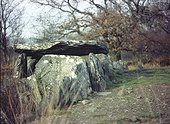 Dolmen at Gouarec Coast of Armor  