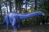Reconstitution d'Apatosaure Dino zoo France ; Apatosaure. Apatosaurus