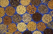 Collection de grains de l'IRRI Manille Phillipines ; IRRI : International Rice Research Institute