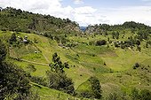Agricultural landscape of Chiapas Mexico ; Overall picture on the farms on the hills.