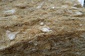 Straw of Hemp to mix to obtain cement France ; Natural cement acting as heat insulator, phonic and accoustic.
