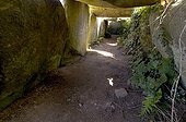 Megalithic site Ploumanach Côtes-d'Armor France