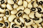 Seeds of Black eyes beans