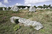 Prehistoric megalithic standing stones Kermario France ; Near Carnac, Brittany, France