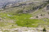 Wetland of altitude above the valley of Laverq  ; The zone results from the progressive filling of an old lake. 