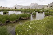 Wetland of altitude above the valley of Laverq  ; The zone results from the progressive filling of an old lake. On the back ground, the Grande Séolane.
