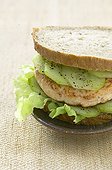 Burger with the salmon France  