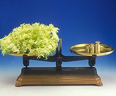 Weighed on a Roberval's balance of a chicoree frisee 