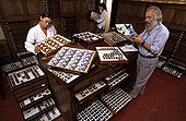Researchers in their service of Butterflies Paris France ; Pr Jacques Pierre, in charge of the service and his wife Claude Pierre, specialist in the African butterflies Here the prestigious Collection Fournier, classified Historic Monument in 1947.