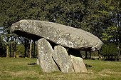 Dolmen of Pierre levée Country of Vienne France 
