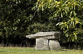 Dolmen of Bagnol surrounded by chestnuts Basse Marche