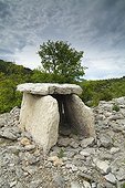 Dolmen in the hills of Ardeche France