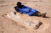 Layer of fossils of Tawachi Desert of Tenere Niger ; Femur of Jobaria tiguidensis