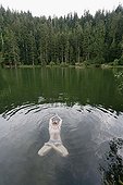 Bather in lotus position in water Etang de Maixe France
