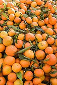 Clementines with leaves at market Provence France