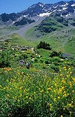 Overview of Lautaret Botanical garden France