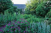 Flower bed and house in La Pellerine garden France