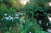 Pond and footbridge in La Pellerine garden France