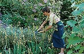 Sylvie Douinot cutting a plant La Pellerine garden France