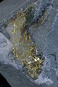 Crystalline Gold Nevada USA