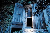 Petit Rhinolophe sortant d'un cabanon son gîte diurne France