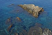 Rivage rocheux Golfe de Giens Cote Varoise France