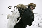 Hunter carrying on his back an Arctic Fox trapped in Canada