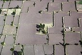 Overview of a campaign geometric Cuzco Peru