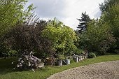 Trees and shrubs at Jardin de Chantal et Alain