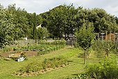 Overview of a kitchen garden in summer Provence