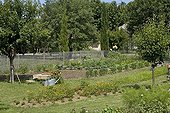 Overview of a kitchen garden in summer Provence France