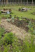 Overview of a mulched kitchen garden in spring Provence