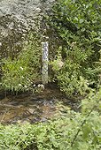 Echelle limnimétrique dans un petit ruisseau à l'étiage