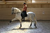 Rider riding a horse Lisutanien School The Kâ Switzerland ; Rider: Alain Devaud <br>City: Vuadens near Bulles
