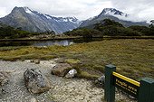 Alpine wetland area Fiordland NP New Zealand ; Site : Key Summit.<br>