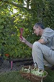 Vérification du niveau d'eau du pluviomètre en septembre