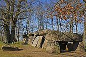 Dolmen of the Roche-aux-Fées Ille-et-Vilaine France ; Locality: Essé.