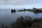 Rivage rocheux près de Hienghène Nouvelle-Calédonie ; Rocher appelé "Poule couveuse".