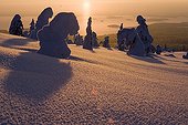 Sunset on Riisitunturi NP in winter Finland