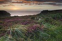 Landes atlantique sur la côte de la Manche au crépuscule