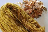 Hank of Sheep wool dyed craftsmen and Onion